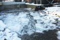 Winter 12.01.09 003